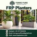Large FRP Planters For Entrances, Lobbies And Open Spaces