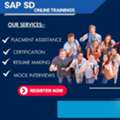 Shresta Trainings- SAP SD Training Institute In Hyderabad,US,UK,Canada,Dubai,Germany