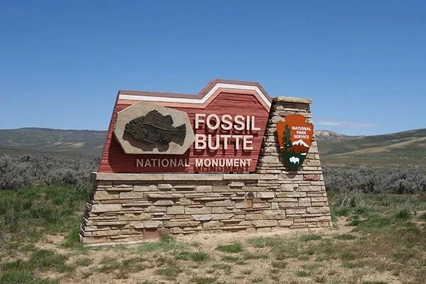 New York, Printing, Professional Monument Sign For Your Business