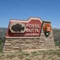 Professional Monument Sign For Your Business