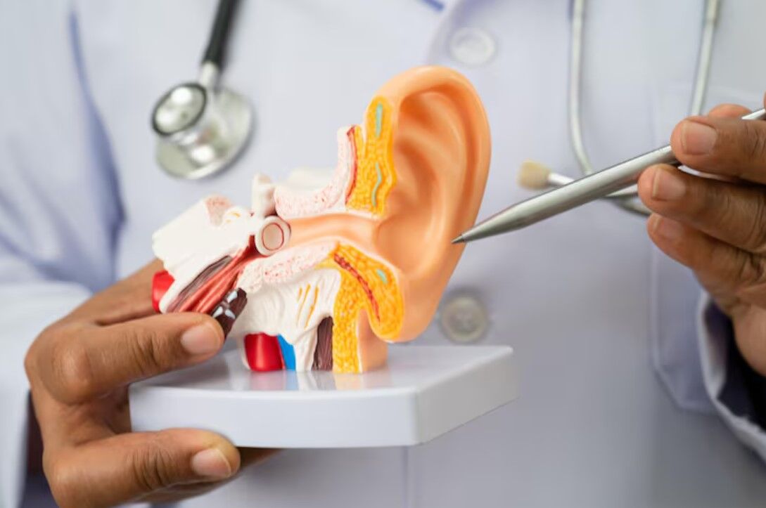 Mumbai, Health, Endoscopic Ear Surgery In Bhagalpur Bihar For Better Ear Care