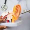 Endoscopic Ear Surgery In Bhagalpur Bihar For Better Ear Care