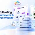 Affordable VPS Hosting In India | Fast & Reliable Cloud Servers