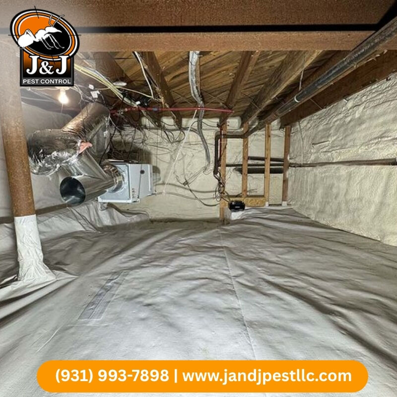 New York, Pest Control, Crawlspace Encapsulation Huntsville | J And J Pest Control