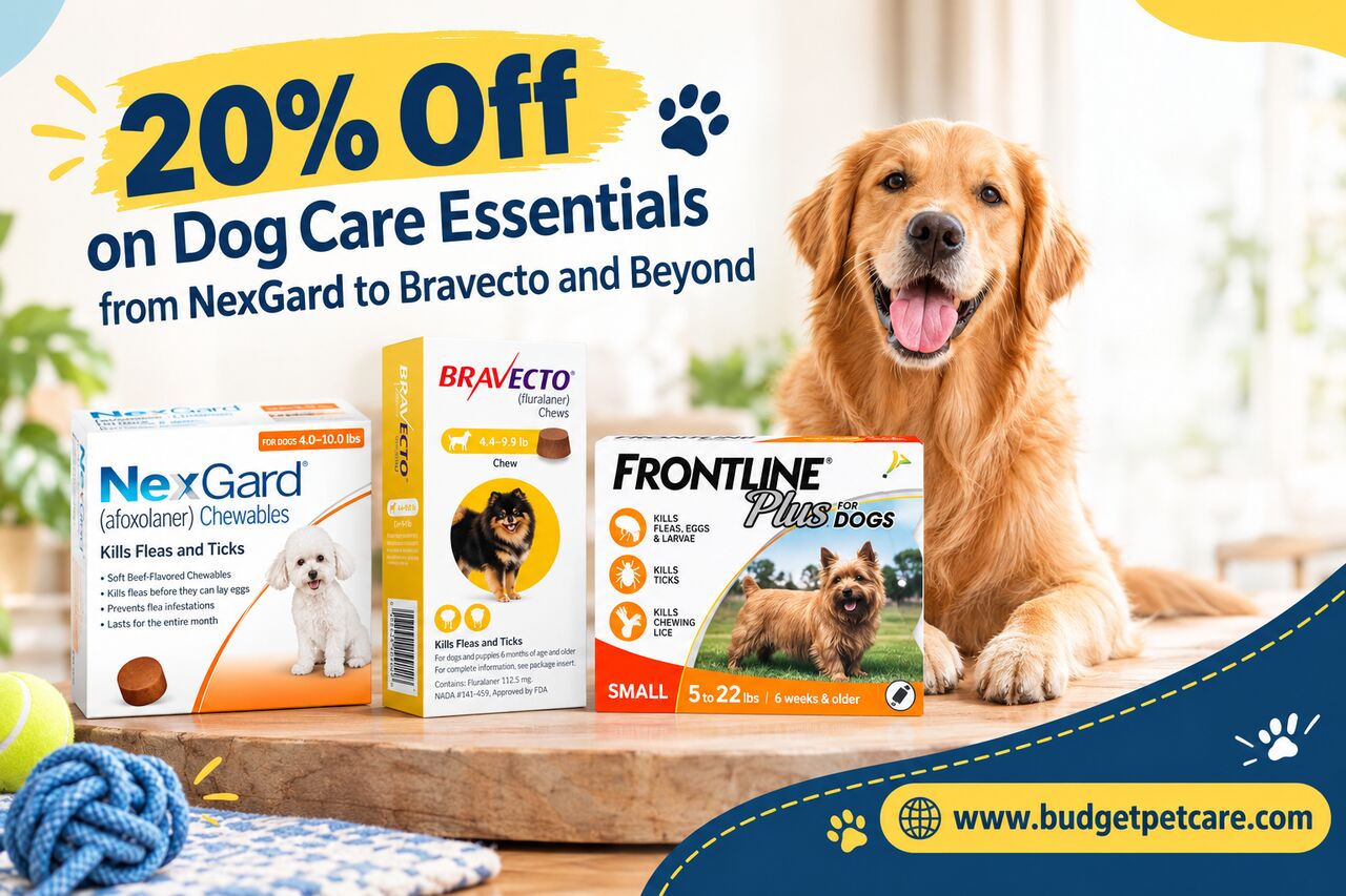 New York, Pet Supplies, 20% Off On Dog Care Essentials From NexGard To Bravecto And Beyond