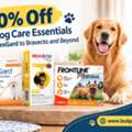 20% Off On Dog Care Essentials From NexGard To Bravecto And Beyond