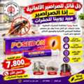 Pest Control Services Special Offer Limited Time Offer &ndash; Book Now! 12 BHD Full Apartment