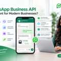 Why Is WhatsApp Business API Important For Modern Businesses? WhatsApp Business API Is Imp