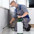 Trusted Legal Support For Pest Control Expert Witness On Termites