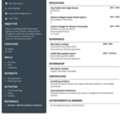 Accountant