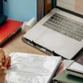Rent Vine Bookkeeping