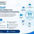 USD 20000,  MuleSoft Integration Platform For Seamless Enterprise Connectivity