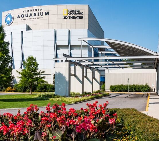 New York, Travel, Best Hotels Near Virginia Aquarium And Marine Science Center