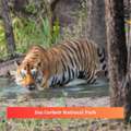 Corbett National Park Package 2 Nights 3 Days INR:6900/-