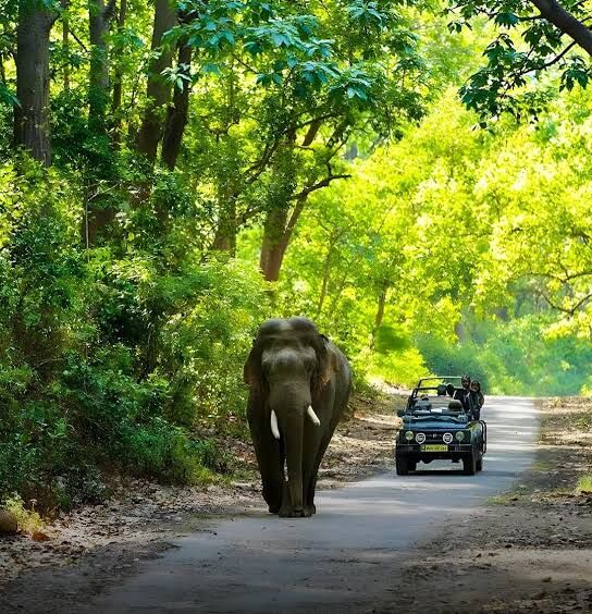 Mumbai, Travel, Corbett National Park Package 2 Nights 3 Days INR:6900/-