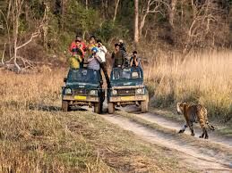 Mumbai, Travel, Corbett National Park Package 2 Nights 3 Days INR:6900/-
