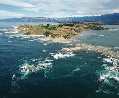 Auckland, Travel, Plan Cheeky Kea Tours For NZ Adventures | Cheeky Kea Travel