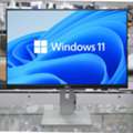 BHD 27,  DELL 24" IPS Full HD Borderless Monitor 180* Rotatable Input : HDMI, DP, VGA, USB 3.0