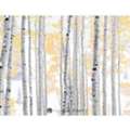 USD 2600,  Aspen Blizzard: Panoramic Colorado Aspen Tree Artwork