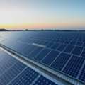 Solar Plant Genaral Helper 1800+free Food