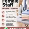 Wanted Lady For  Ironing-only