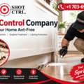 Ant Control Company &ndash; Springfield, Virginia Homeowners Guide