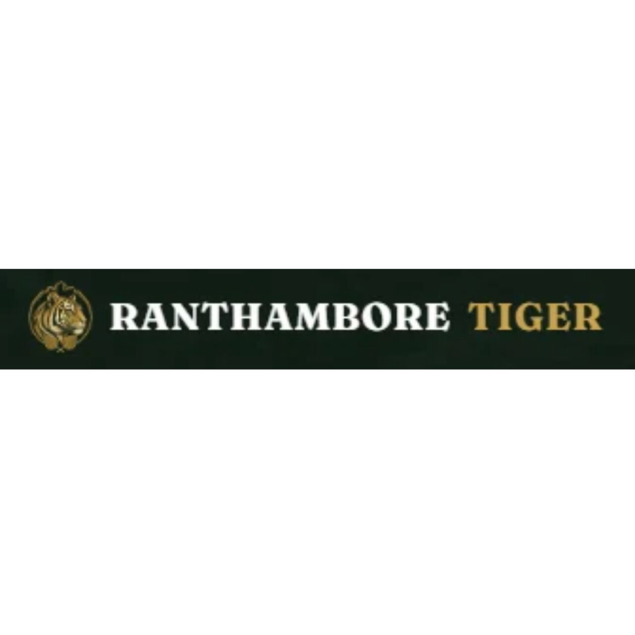 Jaipur, Travel, Ranthambore Safari Official Website