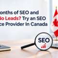 Six Months Of SEO And Still No Leads? Try An SEO Service Provider In Canada