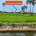 THB 1200000,  6 BR,  28 Sq. Feet,  ขายที่ดิน ทำเลทองแห่งความสงบ ต.บ้า