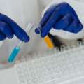 CAS No: 41663-84-7 Manufacturer | Valentis Laboratories