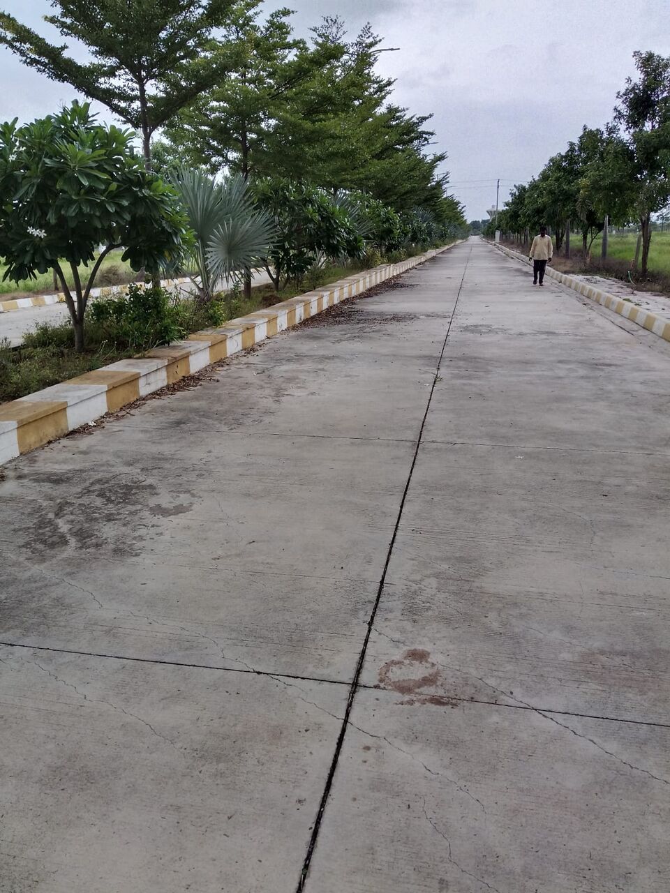 Hyderabad, Residential Plots, INR 25999,  167 Sq. Yard,  HMDA Gated Villa Plots Sale In Mansanpally Ameerpet Village Bangalore Highway ORR 15