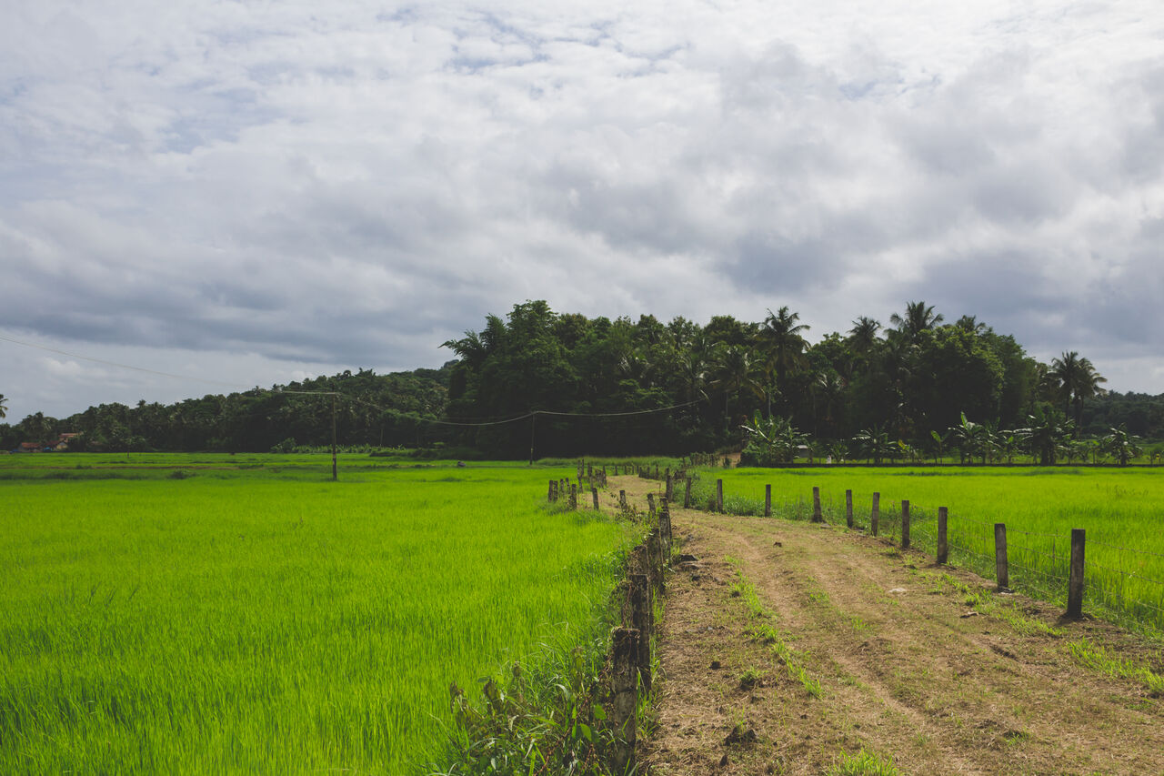 Nagpur, Real Estate, How To Choose The Right Agricultural Land Near Nagpur