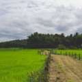 How To Choose The Right Agricultural Land Near Nagpur