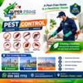 Pest Control Services