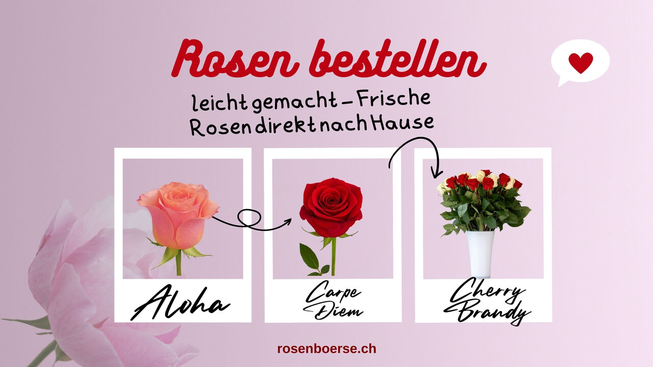 Geneva, Farm & Garden, Infinity Rosen Schweiz Für Deine Schönsten Momente &ndash; Bestelle Deine Traumrosen Ganz Einfac