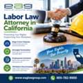 Guidance For Complex Labor Law Matters