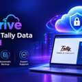 TallyDrive: How To Secure Your Tally Data In The Cloud In 2026
