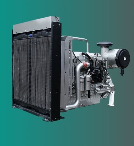 Dubai, Businesses For Sale, 1000 KVA Perkins Generator