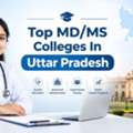 Explore The Top MD/MS Colleges In Uttar Pradesh