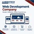 How To Find Reliable Web Development Services Jaipur For A Custom Website