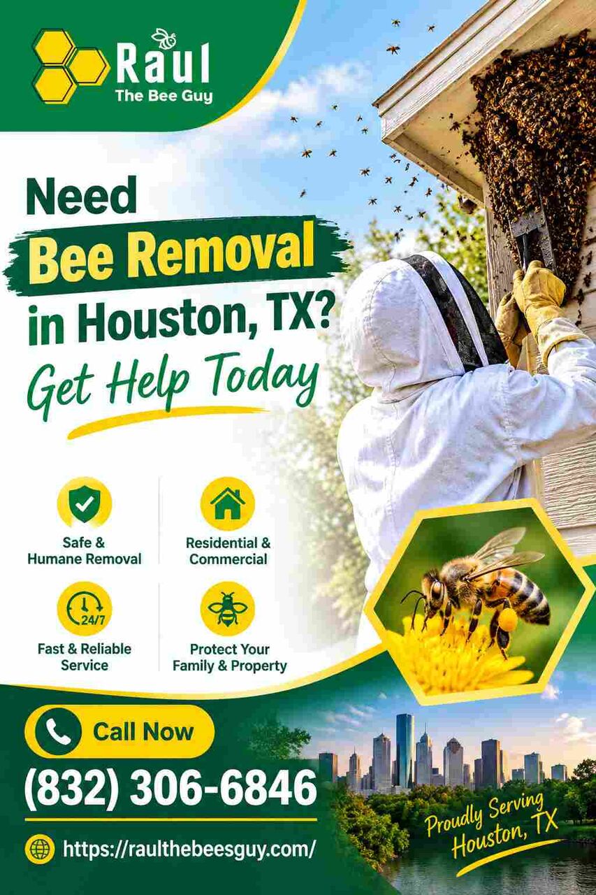 Houston, Pest Control, Need Bee Removal In Houston, TX? Get Help Today