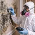 Thorough Residential Mold Testing For Home Mold Inspection