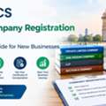 Top Company Registration In India: A Simple Guide For New Businesses