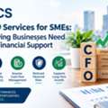 Top CFO Services For SMEs: Why Growing Businesses Need Strategic Financial Support