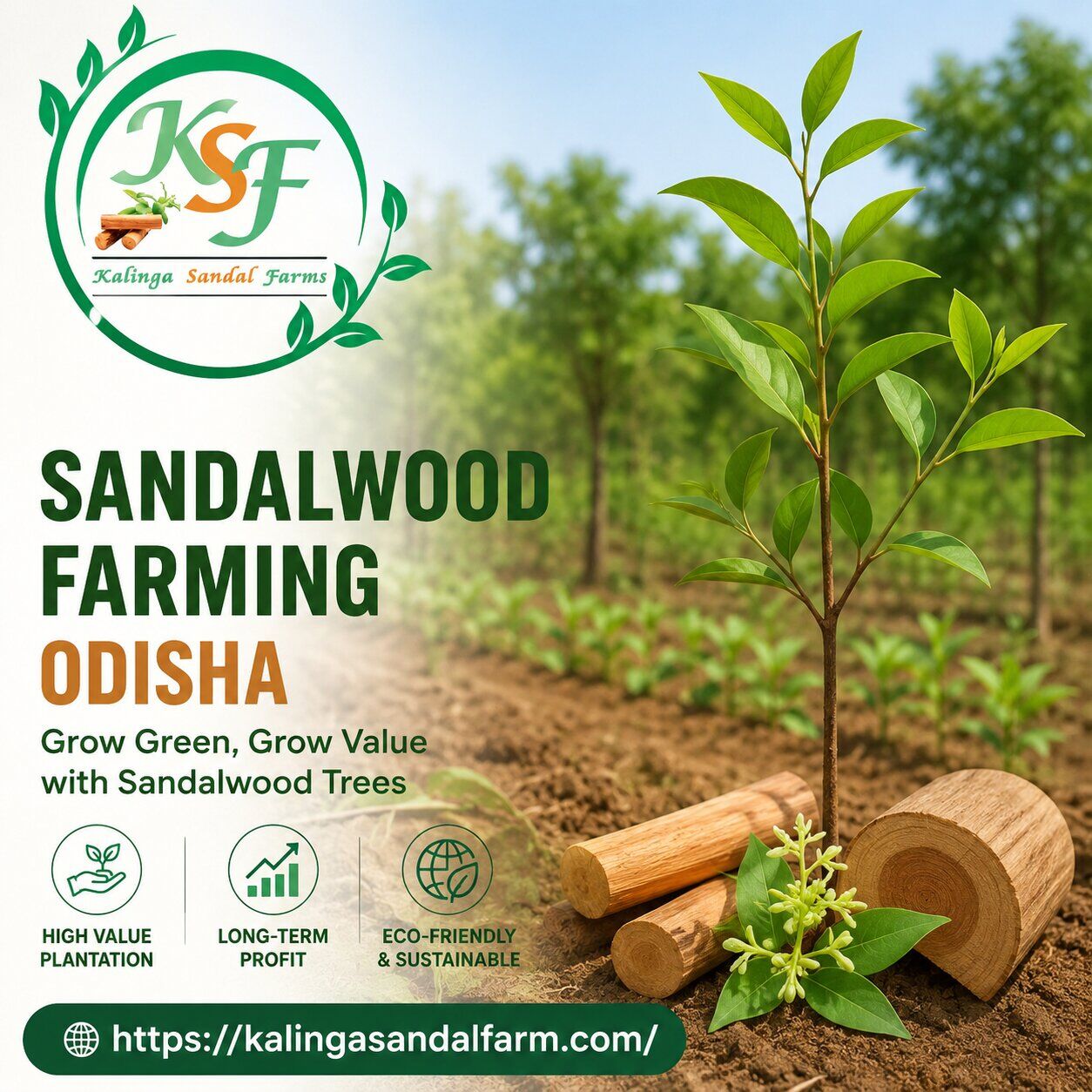 Bhubaneswar, Farm/Garden, Sandalwood Farming Odisha