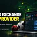 Grow Your Business With A Modern White-Label Exchange Platform From CTFC