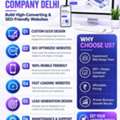 Custom Website Development Company In Delhi | Appsitelabs