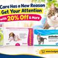 Cat Care Has A New Reason To Get Your Attention With 20% Off & More