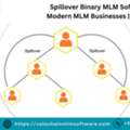Affordable Spillover Binary MLM Software For Modern MLM Businesses | Volochain
