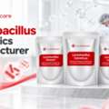 Lactobacillus Manufacturer For Quality Probiotic Solutions &ndash; Get A Quote